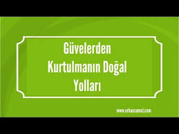 Guvelerden Kurtulmanin Dogal Yollari Youtube