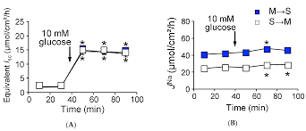 Solar solutions international displays more than 500 innovations and over 100 practical seminars as an exclusively b2b trade show, solar solutions international offers both exhibitors and visitors the. Ijms Free Full Text Na Coupled Nutrient Cotransport Induced Luminal Negative Potential And Claudin 15 Play An Important Role In Paracellular Na Recycling In Mouse Small Intestine Html