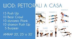 Quando si parla dello sviluppo di uno specifico gruppo muscolare per prima cosa bisogna analizzarne la sua funzione dal punto di vista anatomico per poi capire in quali esercizi esso è coinvolto. Allenamento Crossfit Pettorali A Casa The Crossfit Diary