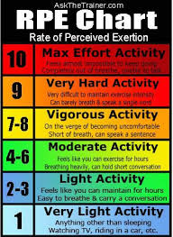 Can Someone Explain Rpe And Of Hrmax Bodybuilding Com