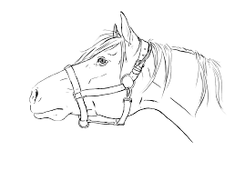 Horse Head Lineart Horse Drawings Horse Coloring Pages Horse Painting