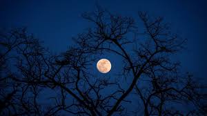 Aqui vocês tem a última imagem deste filme tão esperado! Papel De Parede Gratis Hd Natureza Lua Nova Para Pc Amazing Moon Images Hd 2048x1152 Download Hd Wallpaper Wallpapertip