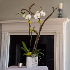 Maybe you would like to learn more about one of these? Send Plants Marietta Ga Flower Delivery Bloomnation