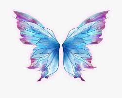 Related Image Wings Drawing Butterfly Drawing Fairy Wings Drawing