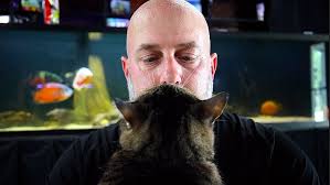 BEST Foods for Feeding Corydoras Fry