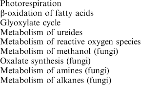 We did not find results for: Functions Of Peroxisomes In Plant And Fungus Cells Download Table