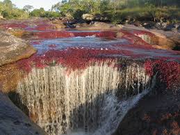 Maybe you would like to learn more about one of these? Cano Cristales Destinos En El Meta Temas De Turismo