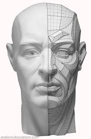 A downward fold shows up at the corners of the mouth, giving a bit of a wry expression. Mansarali Photos From Mansarali S Post Anatomy Drawing Anatomy Reference Facial Anatomy