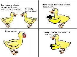At memesmonkey.com find thousands of memes categorized into thousands of categories. 30 Very Funny Duck Meme Pictures And Photo