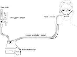 This oxygen delivery devices and flow rates chart shows how many oxygen percentages delivered according to the different flow rates. Principle Setup Of High Flow Nasal Cannula Oxygen Therapy An Download Scientific Diagram