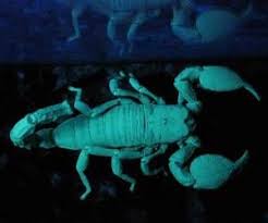 وعن حلم تعلم السياقة في المنام يدل على تغير حياة الرائي للأفضل وتحقيق الأمنيات. Pin On ØªÙØ³ÙŠØ± Ø§Ù„Ø§Ø­Ù„Ø§Ù…