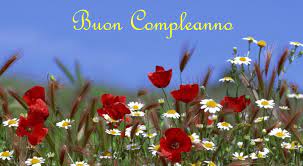 Immagini Di Buon Compleanno Tanti Auguri E Stati Con Belle Frasi Di Compleanno Whatsapp Web Whatsappare Flower Field Field Wallpaper Flower Wallpaper