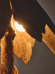 Image result for Light Driftwood 1993 Shadow