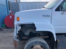 Image result for Tan 2002 Topkick