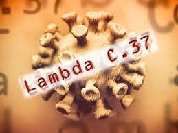 Es la variante que se conocía como la andina. Verbreitete Corona Mutation Angeblich Resistent Das Sagen Experten Uber Die Lambda Variante Shz De