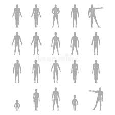 From hip joint to front of knee joint, and. Human Body Outline Front Back Stock Illustrations 491 Human Body Outline Front Back Stock Illustrations Vectors Clipart Dreamstime
