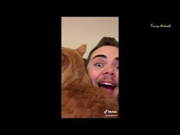 Cooter The Talking Cat Part 2 | Funny Animals | Tiktok - YouTube