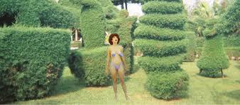 Bildergebnis für Cristiano Lenhardt