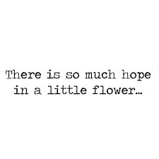 Pin Von Haus 04 Auf Francoise Blumen Spruch Garten Zitate Schone Worte