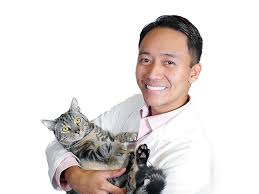 Maybe you would like to learn more about one of these? Honolulu Vets At Vca University Animal Hospital