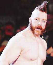 Pin On Sheamus Wwe