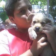 timothy ferrer (@timothyshadow)