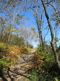 Big pocono state park is located in monroe county of pennsylvania state. Big Pocono State Park Review Of Big Pocono State Park Tannersville Pa Tripadvisor