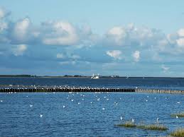 Rettungsbake 1 im wattenmeer cuxhaven watt. Gezeiten Online Ebbe Flut In Dornum Dornum De