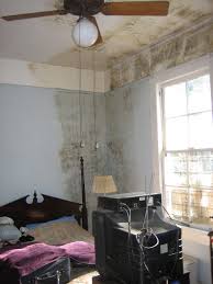Vacuum the area to collect loose spores. Indoor Mold Wikipedia