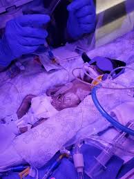 Profile for Prayers for Maddox Reed