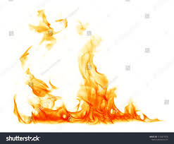 744 x 1024 jpeg 162 кб. Fire Flames On A White Background Flames Fire Background White White Background Stock Photos Background
