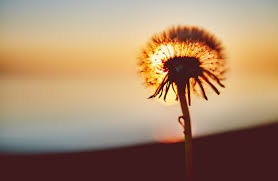 19 Inspirational Quotes To Help You Cope With Grief And Loss Dr Eleora Han It hurts because i miss you and i still love you.