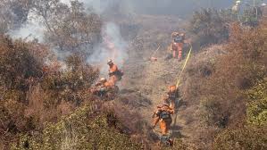 California fire: 16 dead, 16 missing as ...