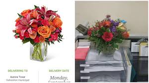 Pin On Flowers Reviews