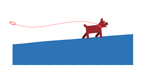 Aus diesem nachweis muss sich dann auch ergeben, wann du den hund gekauft hast. Rekordeinnahmen 331 Millionen Euro Aus Hundesteuer In Den Ersten Drei Quartalen 2020 Statistisches Bundesamt