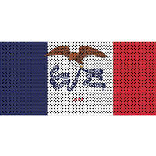Once purchased, a download of the pattern will be sent to you via pdf. Iowa State Flag Under The Sun Inserts