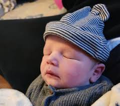 The Open Bible Bulletin