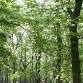 Hanningfield Phenology and Nature Journaling for event image