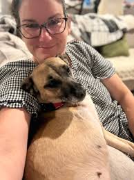 from Pitt Friends [(aka  FPCAS)](https://www.facebook.com/groups/pittfriends/)