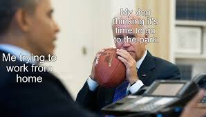 Joe Biden Holding Football Meme ...