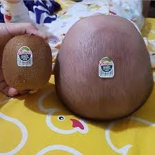 Kiwi Wi Head Cute Toddlers Baby Kiwi Cute Kids