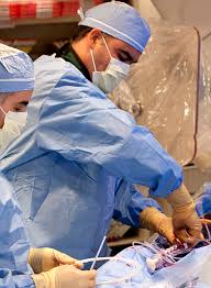 The gaze of the fox. University Hospitals Designs The Cardiovascular Center Of The Future Daic