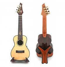 4.6 out of 5 stars. Portable Wooden Foldable Holder Stand Suitable For Guitar Ukulele Violin Mandolin Banjo