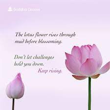 Keep Rising Lotus Flower Quote Lotus Flower Flower Quotes