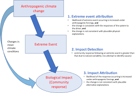 Causes and effects of climate change. Biological Responses To Extreme Weather Events Are Detectable But Difficult To Formally Attribute To Anthropogenic Climate Change Scientific Reports
