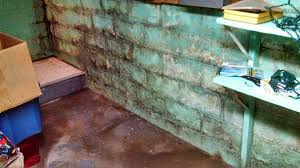 1 minute concrete slabs on grade and basement slabs are weak and vulnerable to the detrimental effect of moisture which may lead to various problems. How To Identify Moisture Problems In Your Basement News And Events For True Energy Solutions