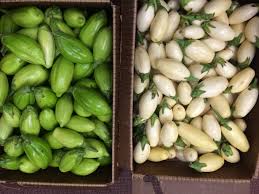 Maybe you would like to learn more about one of these? Garden Egg Worldcrops