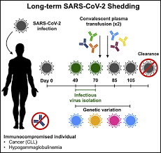 Blood tests (such as aspergillus galactomannan), which are primarily used in immunocompromised patients; Immunocompromised Patients With Covid 19 May Remain Infectious For Much Longer Than Previously Thought Dark Daily