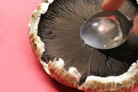 With a paper towel, gently rub off any dirt from the caps. Handling Portobello Mushrooms Boomie S Kitchen