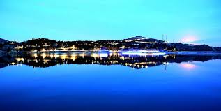 Image result for Selago barabei